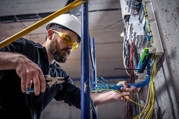 Best Home Electrical Repair  in Riverview, MI